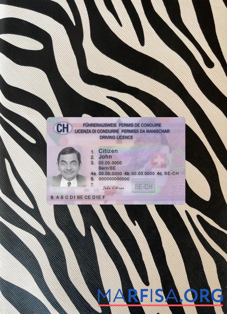 Downloadable Switzerland driving license 2023 present photolook template